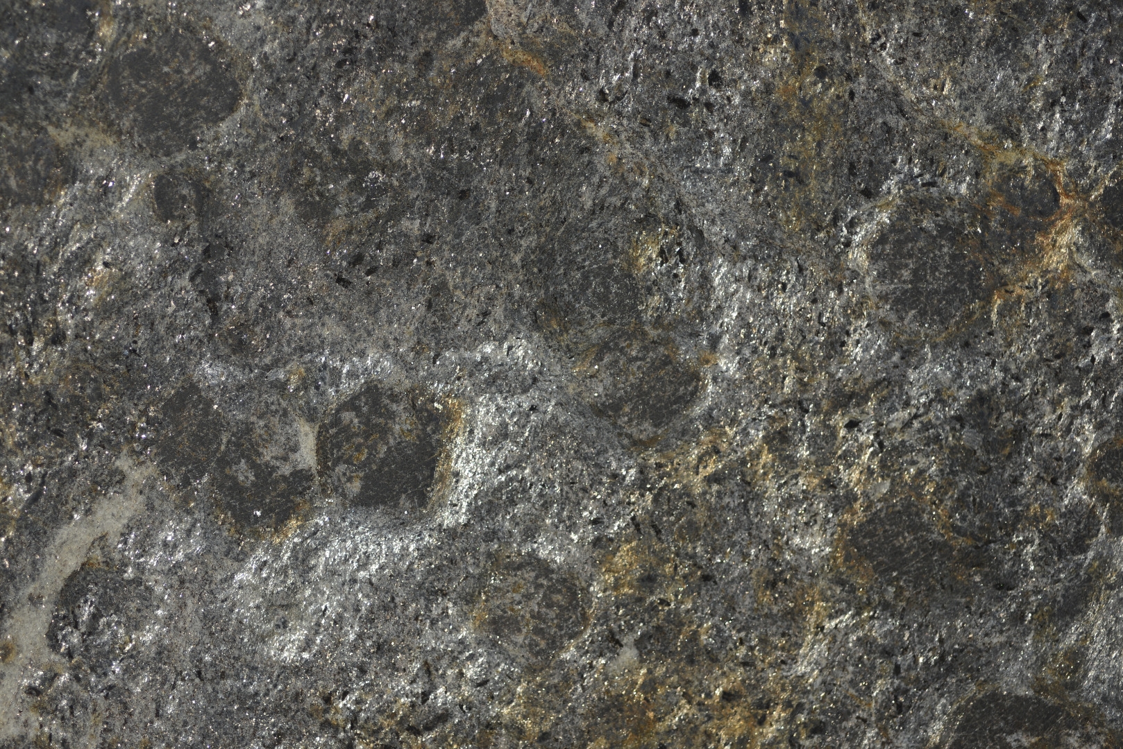 Platinum Black. Marmo.#bl 1312 spazzolato - dettaglio